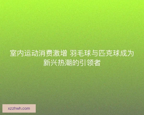 室内运动消费激增 羽毛球与匹克球成为新兴热潮的引领者